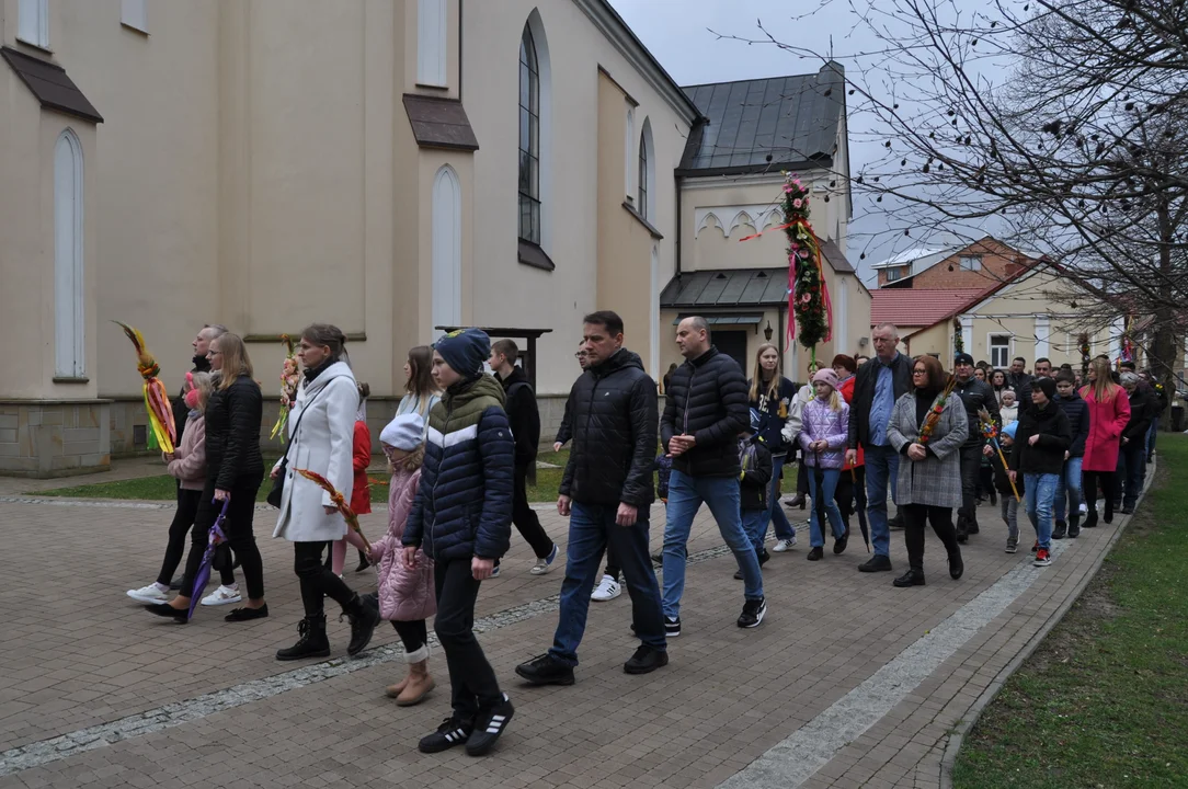 Parafianie w Przecławiu świętowali z pięknymi palmami własnego wykonania