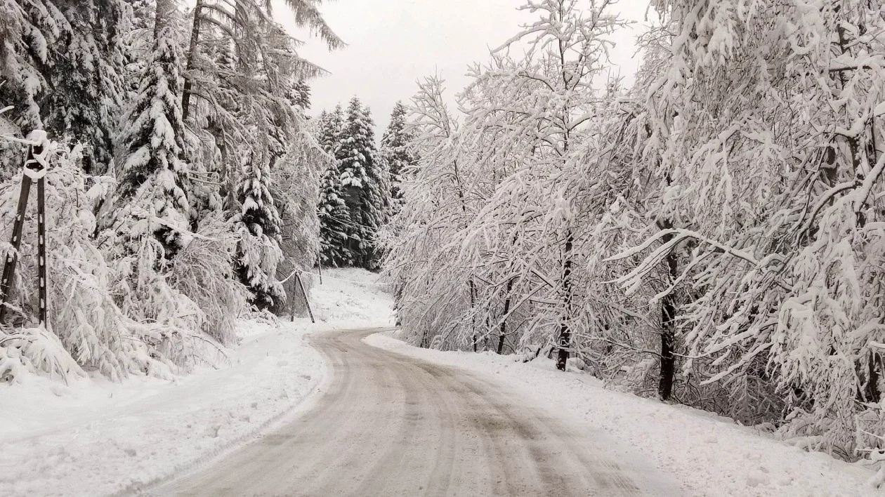 Piękne krajobrazy zimowe w powiecie sanockim [ZDJĘCIA] - Zdjęcie główne