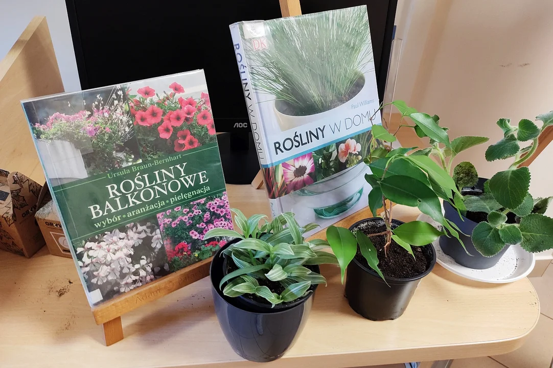 Biblioteczna Wymiana Roślin "Zielono Mi!" w Rzeszowie