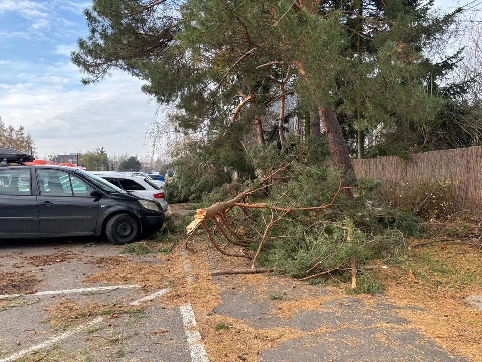 Połamane gałęzie wciąż leżą na chodniku
