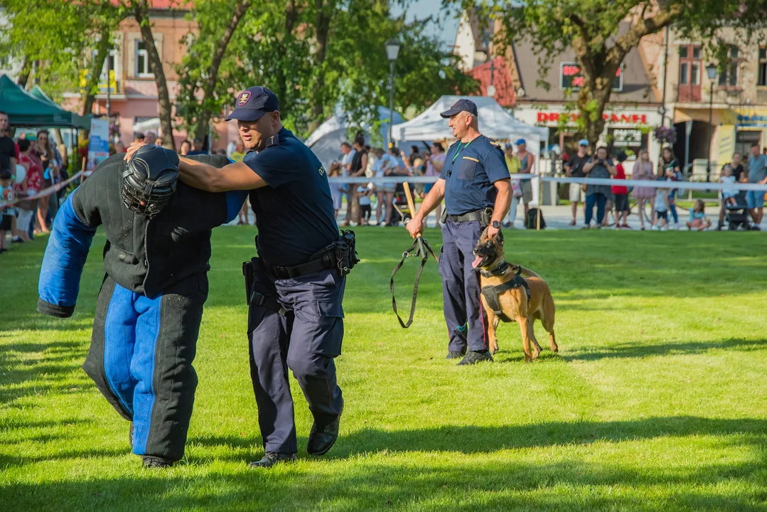 Rozwadowski Piknik Kolejarski z otwarciem Dworca Kolejowego Stalowa Wola-Rozwadów