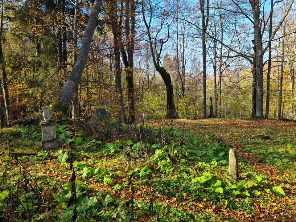 Cmentarz w nieistniejącej wsi Caryńskie