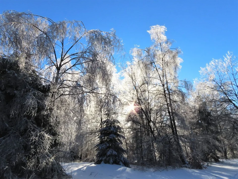 Bieszczady. Połonina Wetlińska