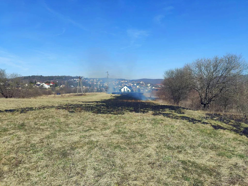 Pożar trawy przy obwodnicy Sanoka