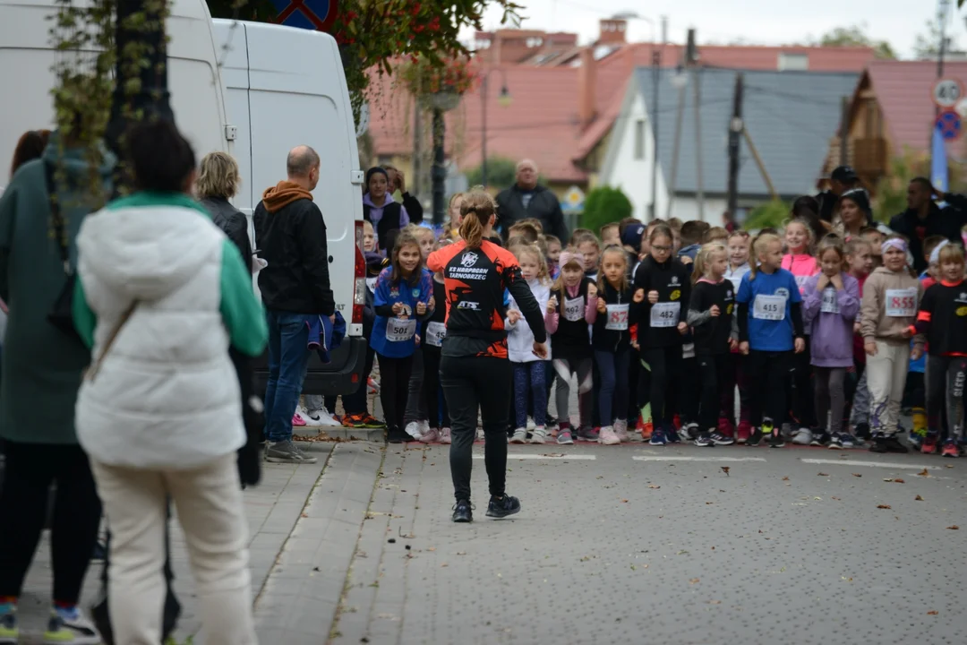 45. Bieg Nadwiślański im. Alfreda Freyera w Tarnobrzegu - biegi dziecięco-młodzieżowe