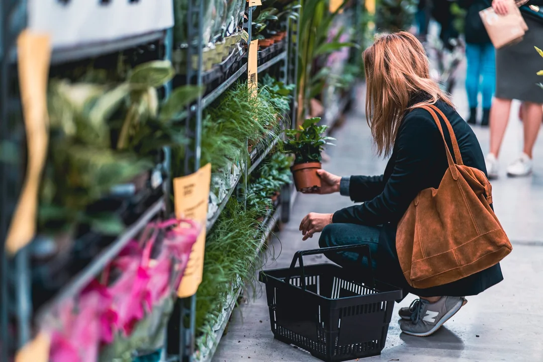 Festiwal Roślin w Rzeszowie. Wielki market 5-6 listopada