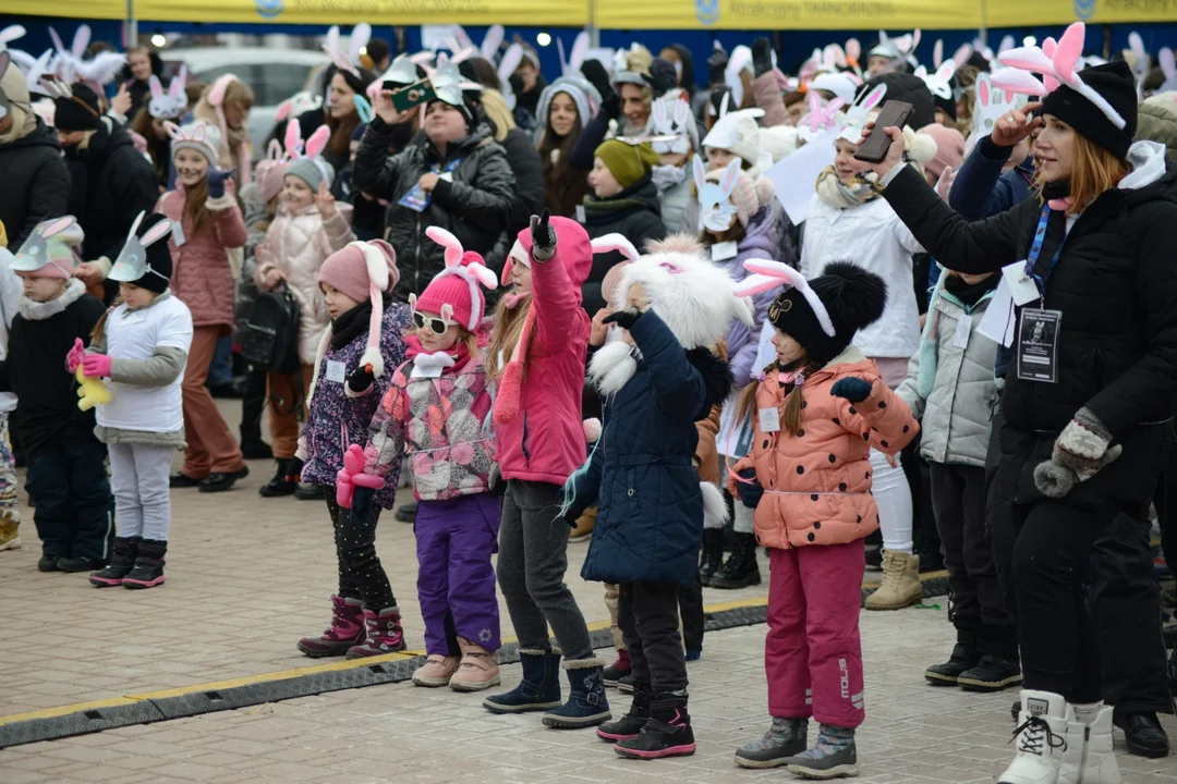Rekord Polski dla Bartoszka Jędrasika chorego na SMA. W Tarnobrzegu zgromadziło się ponad 500 osób przebranych za króliki