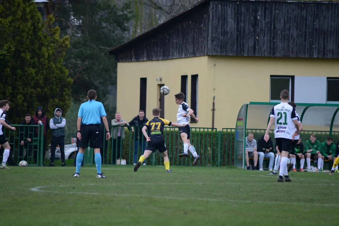 Klasa okręgowa, Stalowa Wola: Siarka II Tarnobrzeg - Stal II Stalowa Wola 1:2