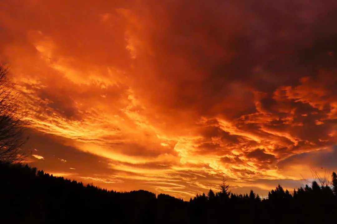 Krwiste niebo nad Czarną