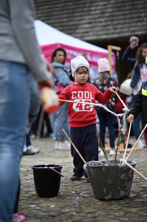 Dzień Otwarty Funduszy Europejskich w Sanoku (sobota)