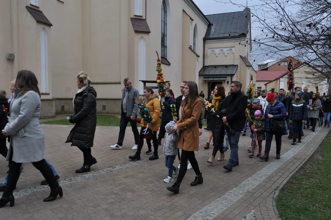 Parafianie w Przecławiu świętowali z pięknymi palmami własnego wykonania