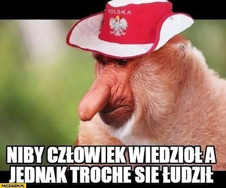 Memy po meczu Polska - Francja