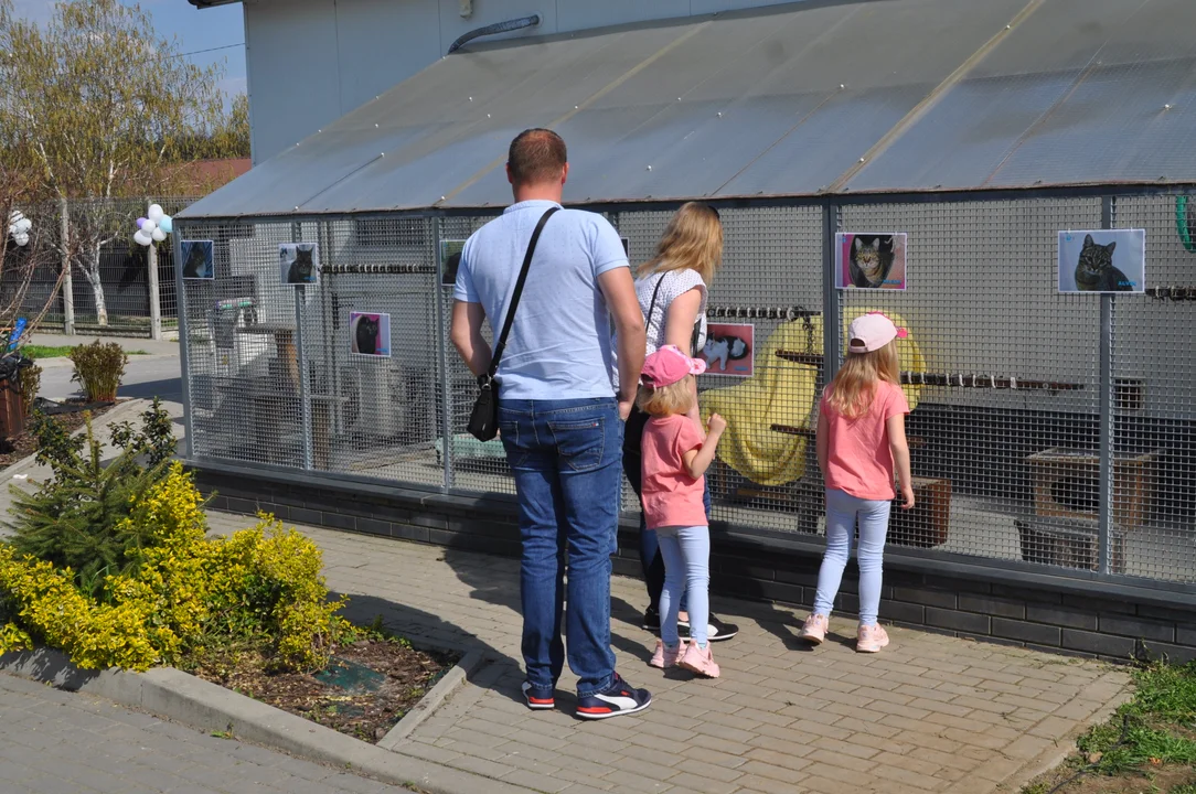 Szczęśliwy dzień dla psiaków, spacery i wyjście z klatek