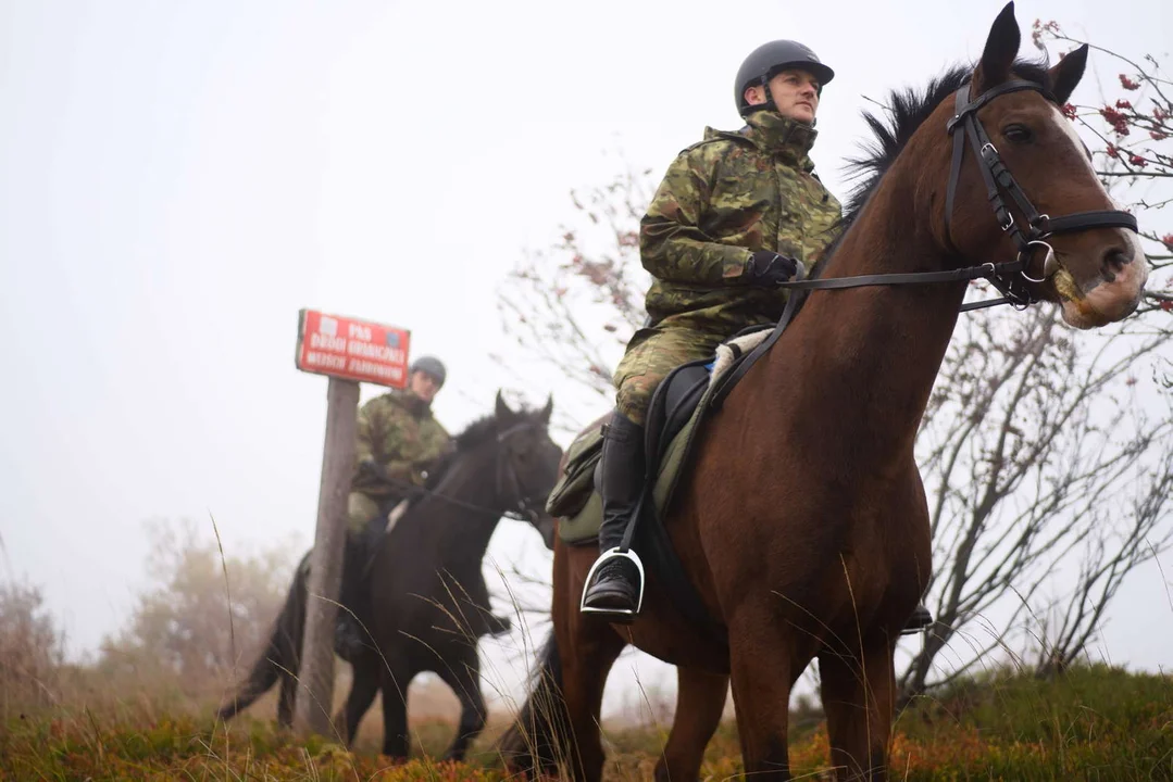 Pomagają w ochronie granicy państwowej w Bieszczadach