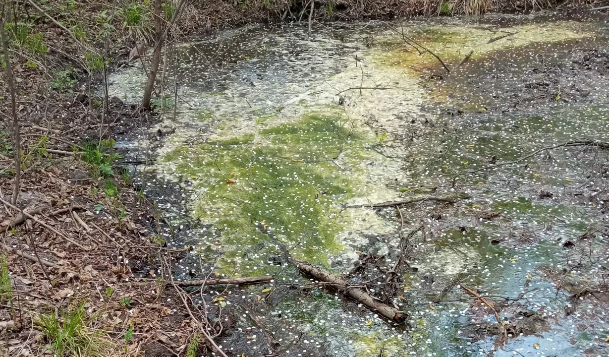 Biogazownia w Dzikowcu odprowadzała nieczystości na prywatną działkę? Sprawa trafiła do sądu [ZDJĘCIA] - Zdjęcie główne