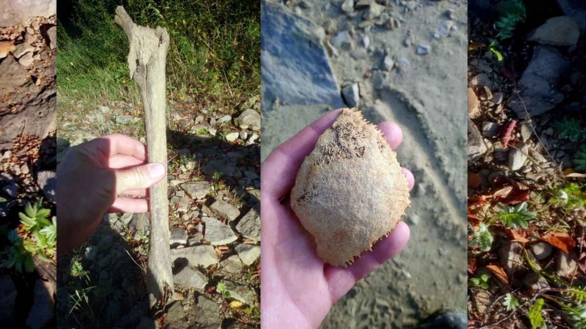 Ludzkie szczątki znalezione w Solinie. Niski stan wody odkrywa to co przez lata było zakryte [ZDJĘCIA] - Zdjęcie główne