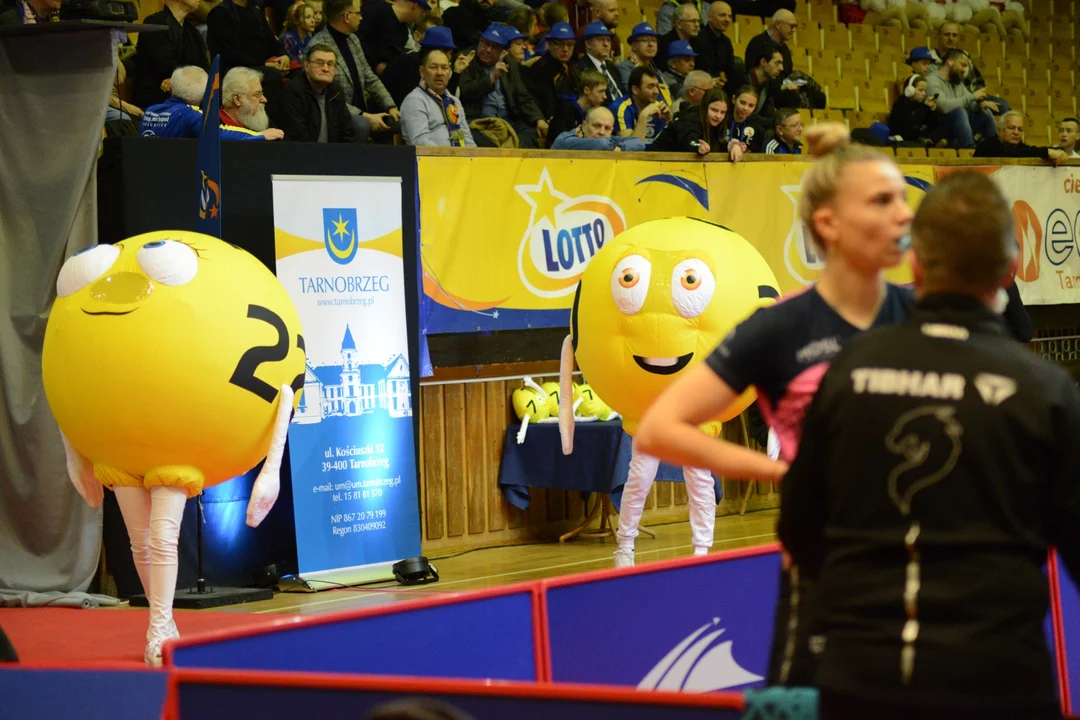 Liga Mistrzyń: KTS Enea Siarkopol Tarnobrzeg - Metz TT 3:0