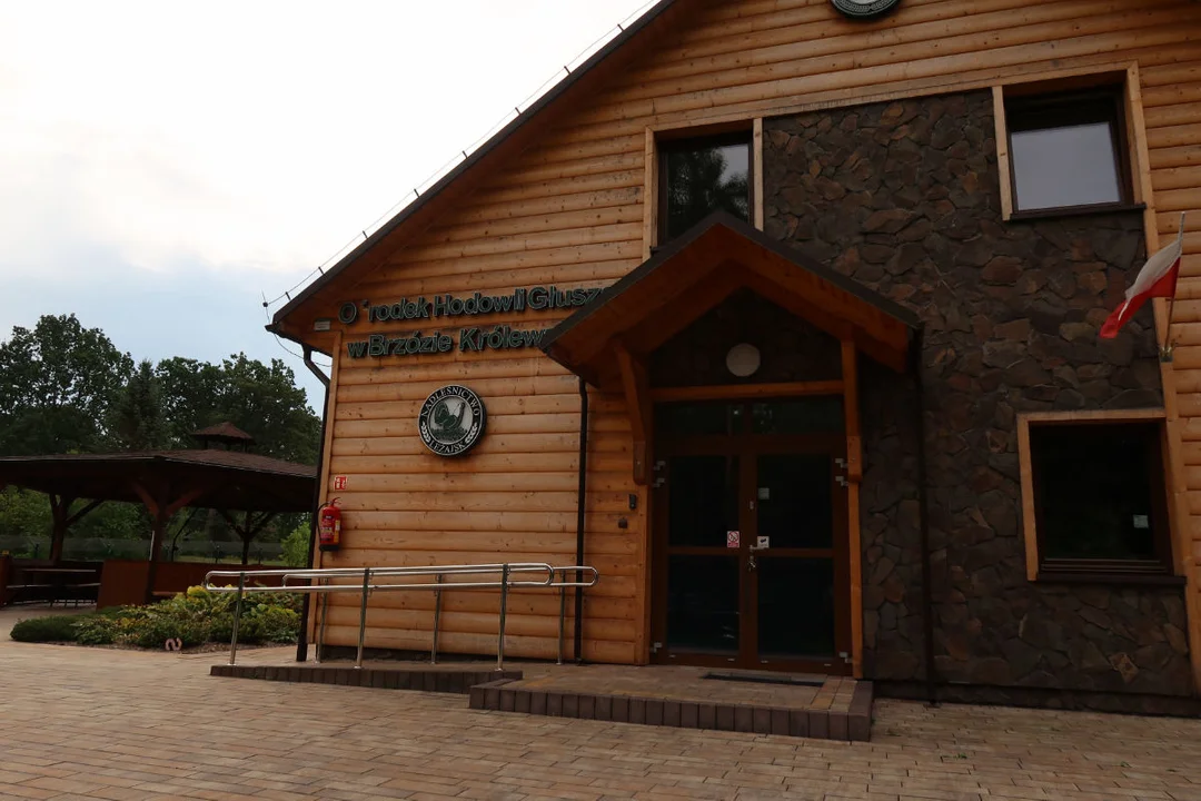 Rezerwat Las Klasztorny w Leżajsku. Od lasu klasztornego po ochronę torfowisk i głuszca - Zdjęcie główne