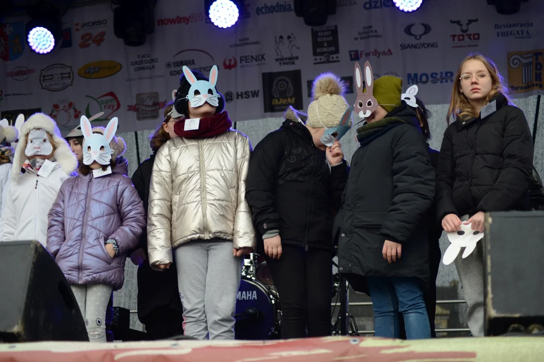 Rekord Polski dla Bartoszka Jędrasika chorego na SMA. W Tarnobrzegu zgromadziło się ponad 500 osób przebranych za króliki