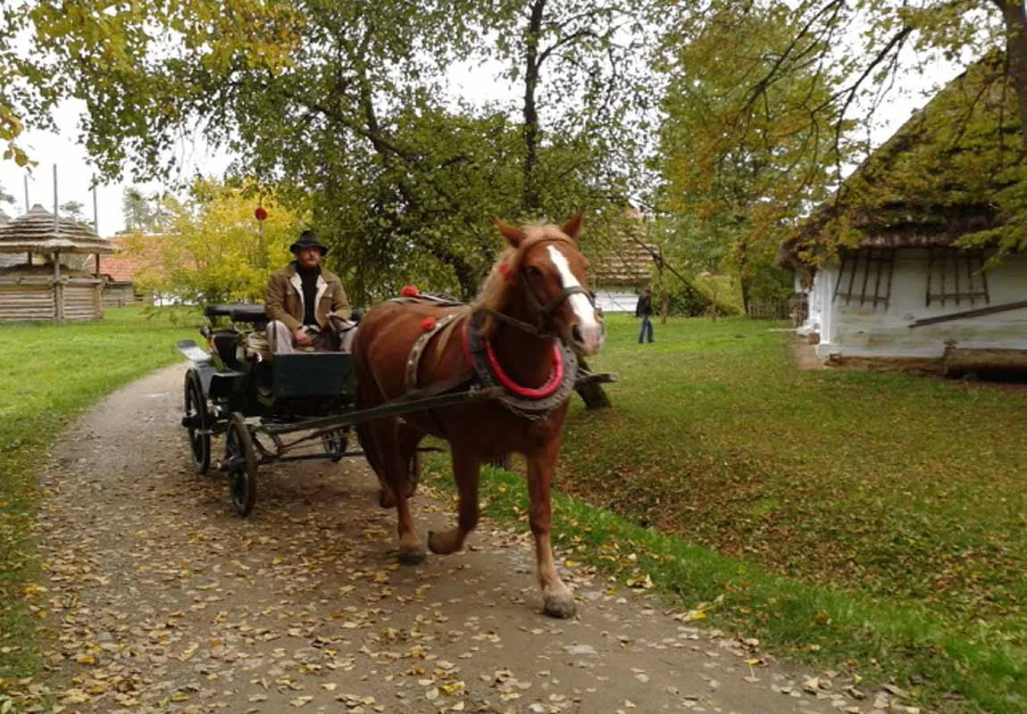 Skansen w Sanoku