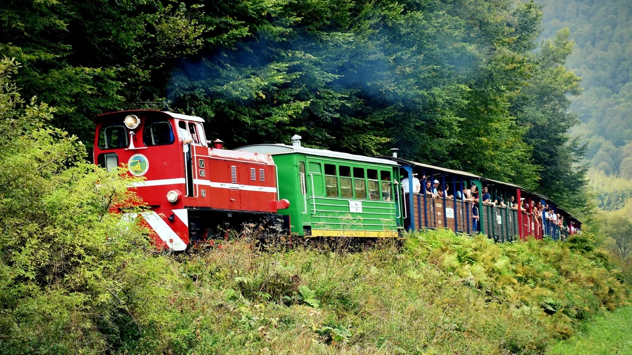 Bieszczady z pokładu wagonika kolejki leśnej. "Ciuchcia" wyjedzie na tory już podczas długiego weekendu majowego [ZDJĘCIA] - Zdjęcie główne