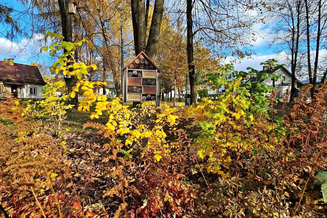 Park Ptasi w Czarnej