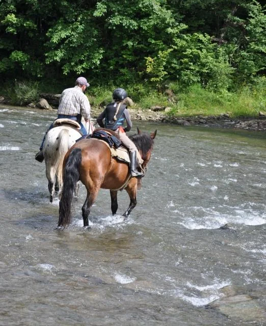 Stajnia Kulbaka. Jazda w teren.