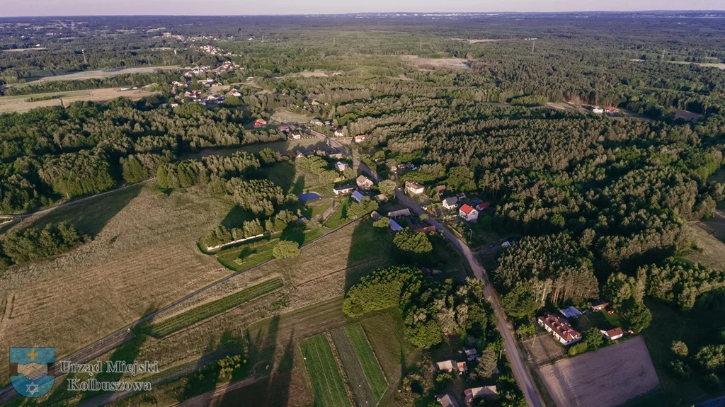 Kilka ujęć pięknej Huty Przedborskiej, sołectwa w gminie Kolbuszowa [ZDJĘCIA] - Zdjęcie główne