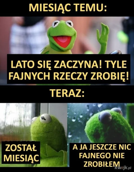 Memy wakacje 2022 - letni czas w krzywym zwierciadle