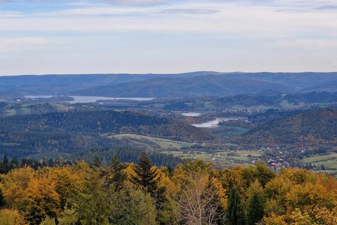 Panorama z wieży widokowej na Korbani