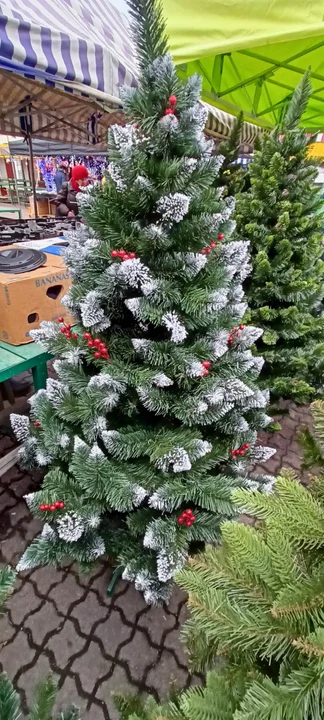 Choinki na targowisku przy hali targowej - jakie ceny