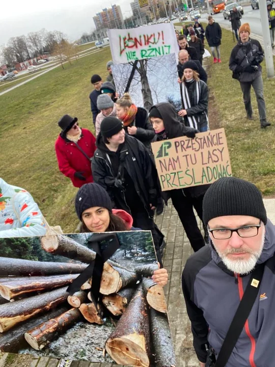 Obrońcy przyrody z Podkarpacia protestują, w lasach między Rymanowem-Zdrój a Iwoniczem-Zdrój trwa wycinka drzew