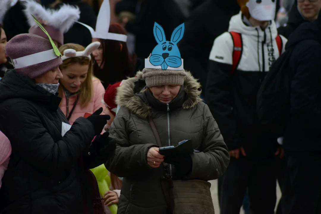 Rekord Polski dla Bartoszka Jędrasika chorego na SMA. W Tarnobrzegu zgromadziło się ponad 500 osób przebranych za króliki