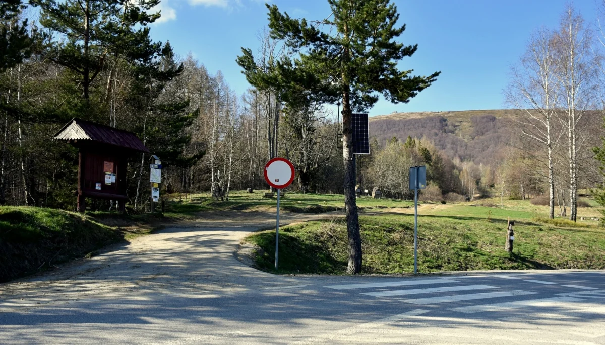 Bieszczady. O najważniejszych zasadach podczas wyprawy na szlak. Gdzie możemy zabrać ze sobą psa? [ZDJĘCIA] - Zdjęcie główne