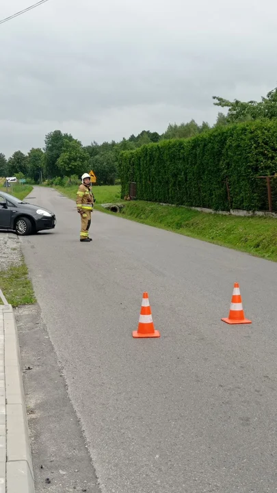 W zdarzeniu ucierpiało 7-letnie dziecko.