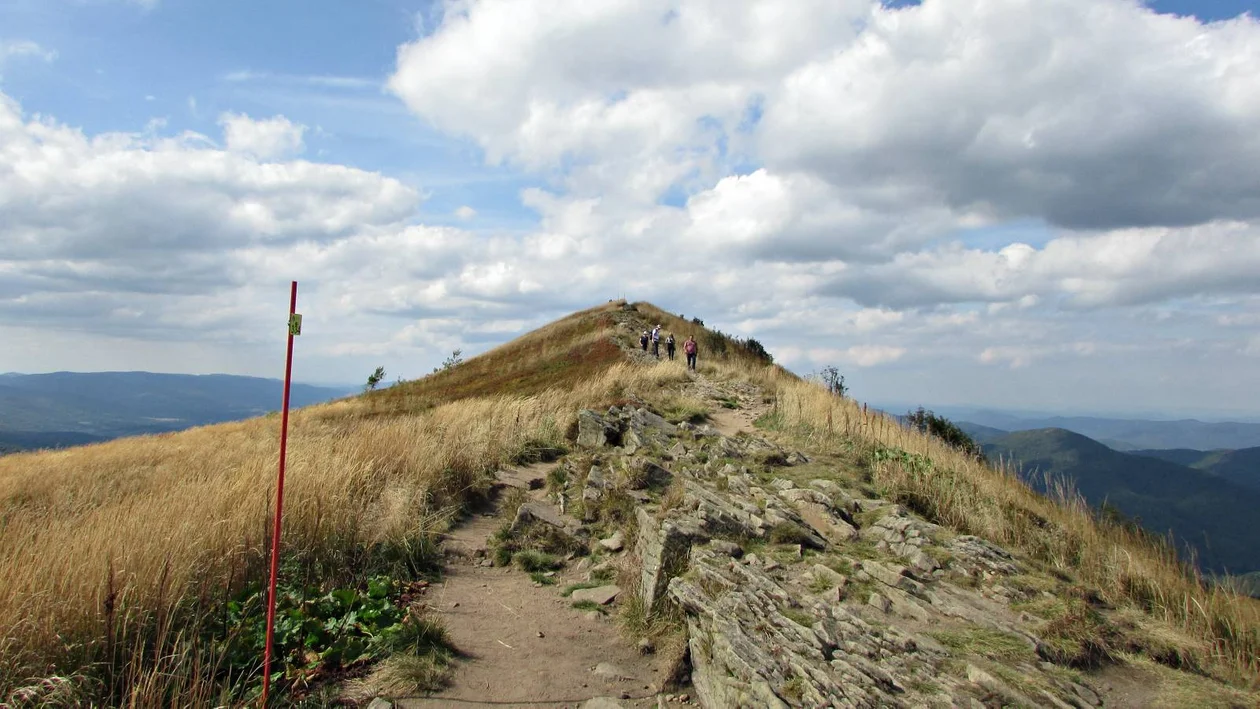 Szlak na Połoninę Caryńską z Przełęczy Wyżniańskiej