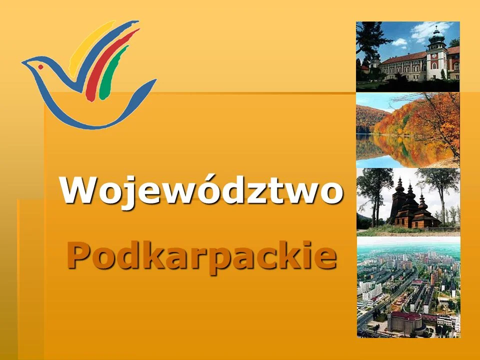 Gwara podkarpacka. Czy znasz te słowa?