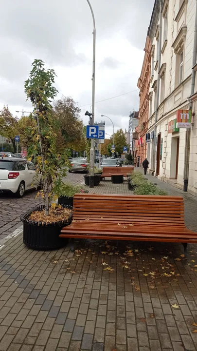 Jesienny Rzeszów. Złociste liście powoli pokrywają ulice [ZDJĘCIA]