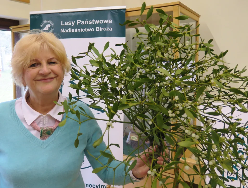 O jemiole i żubrach na Radzie LKP Lasy Birczańskie - Zdjęcie główne