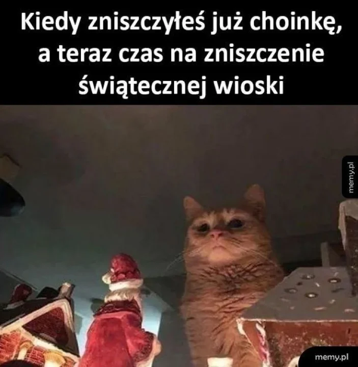 Memy na Święta Bożego Narodzenia
