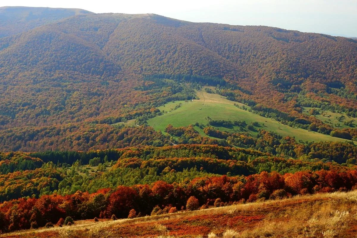 Jesienna paleta barw w Bieszczadach