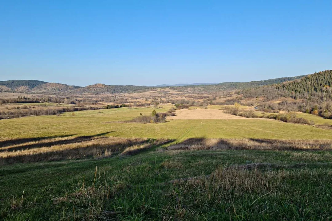 Dźwiniacz Górny. Panorama na dolinę