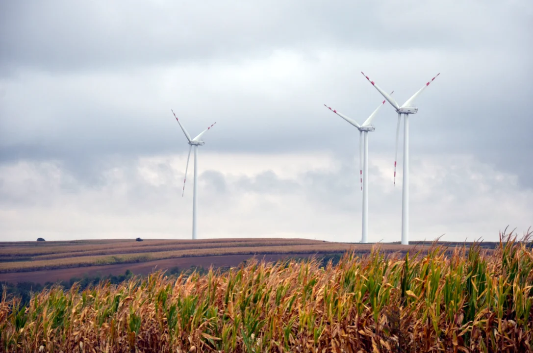 Farma wiatrowa PGE Galicja. Turbina wiatrowa jako ekologiczny sposób pozyskania energii - Zdjęcie główne