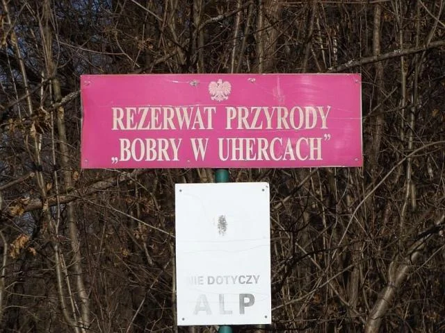 Rezerwat Bobry w Uhercach