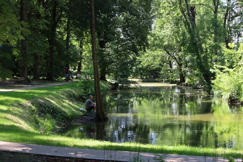 Park Szafera