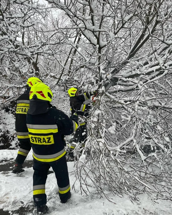 Trudne dni za strażakami z Podkarpacia. Silny wiatr, ciężki śnieg i mnóstwo szkód [ZDJĘCIA]