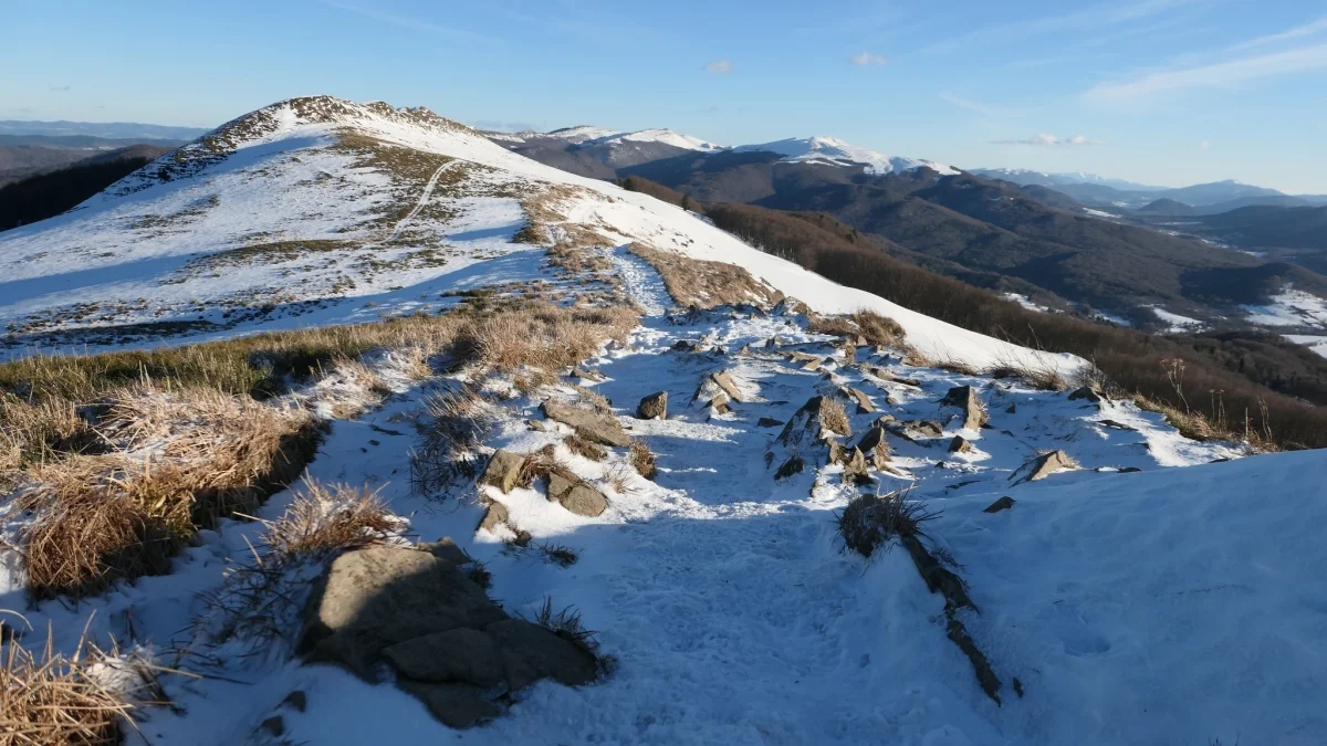 Bieszczady. Zimowa wędrówka z Brzegów Górnych przez Połoninę Caryńską do Ustrzyk Górnych [ZDJĘCIA] - Zdjęcie główne