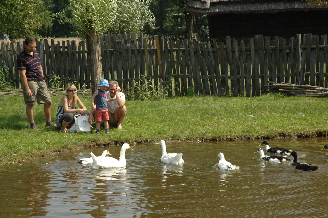 Koń, jaki jest.. - skansen w Kolbuszowej 2011