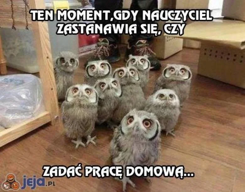 Najlepsze memy na Dzień Nauczyciela