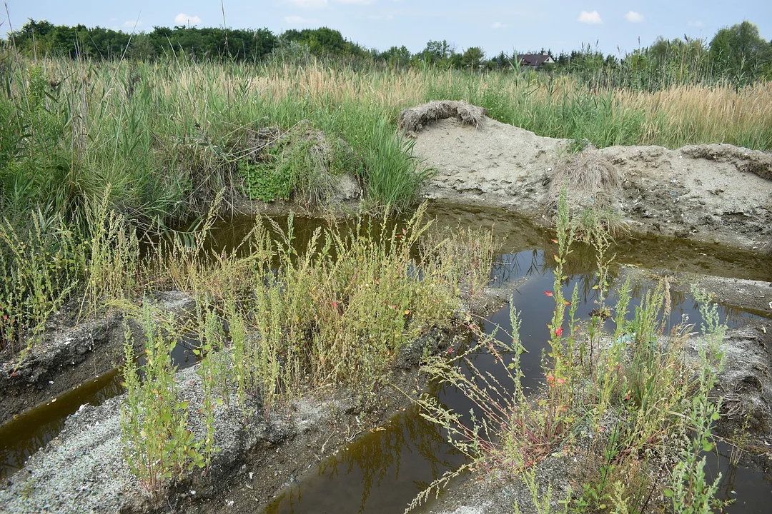 Smród i głębokie doły na niebezpiecznym składowisku w Przewrotnem. Spółka wezwana do usunięcia odpadów nie reaguje na decyzje urzędników i grzywny [ZDJĘCIA] - Zdjęcie główne